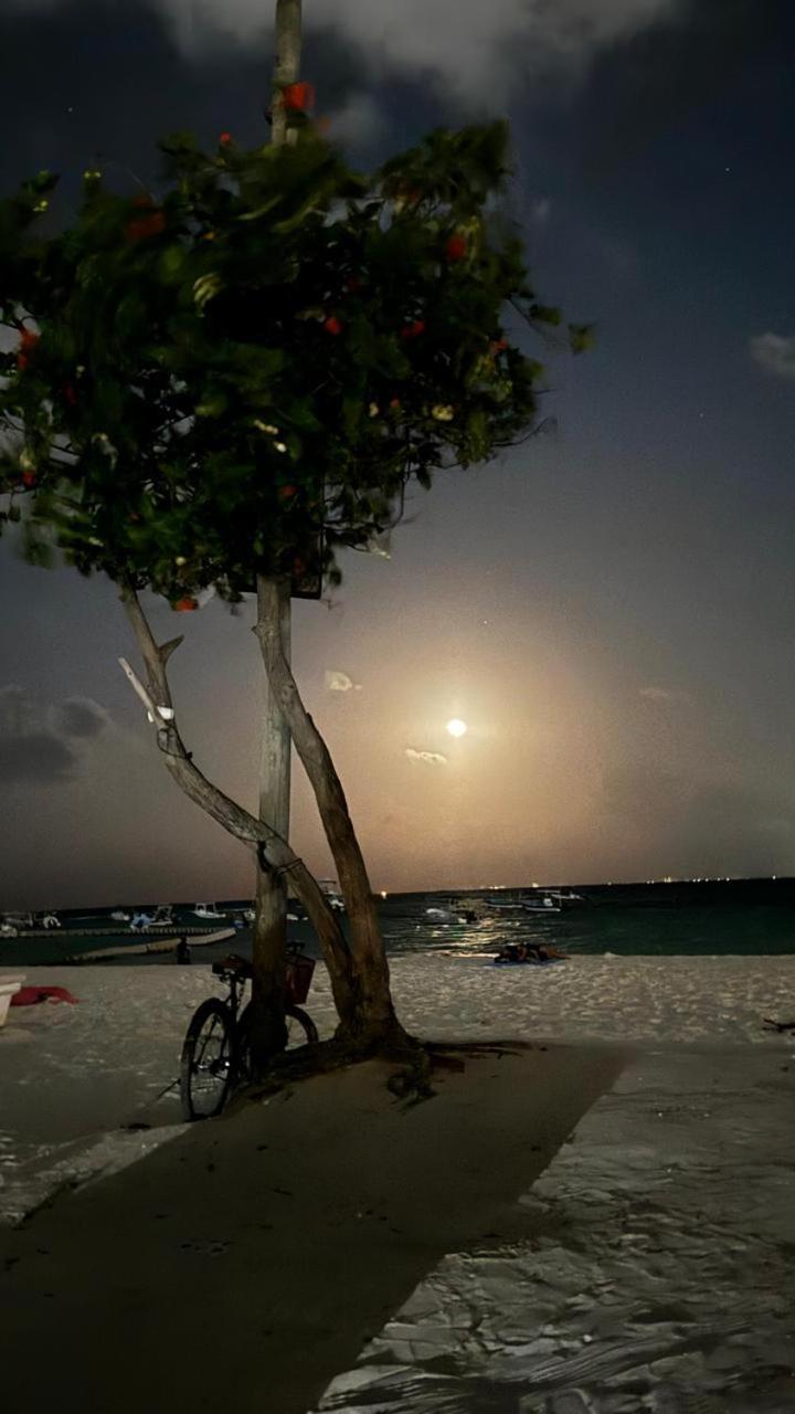 Hotel Balxiba بلايا ديل كارمن المظهر الخارجي الصورة